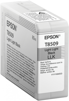 Cartucho EPSON T850900 Negro