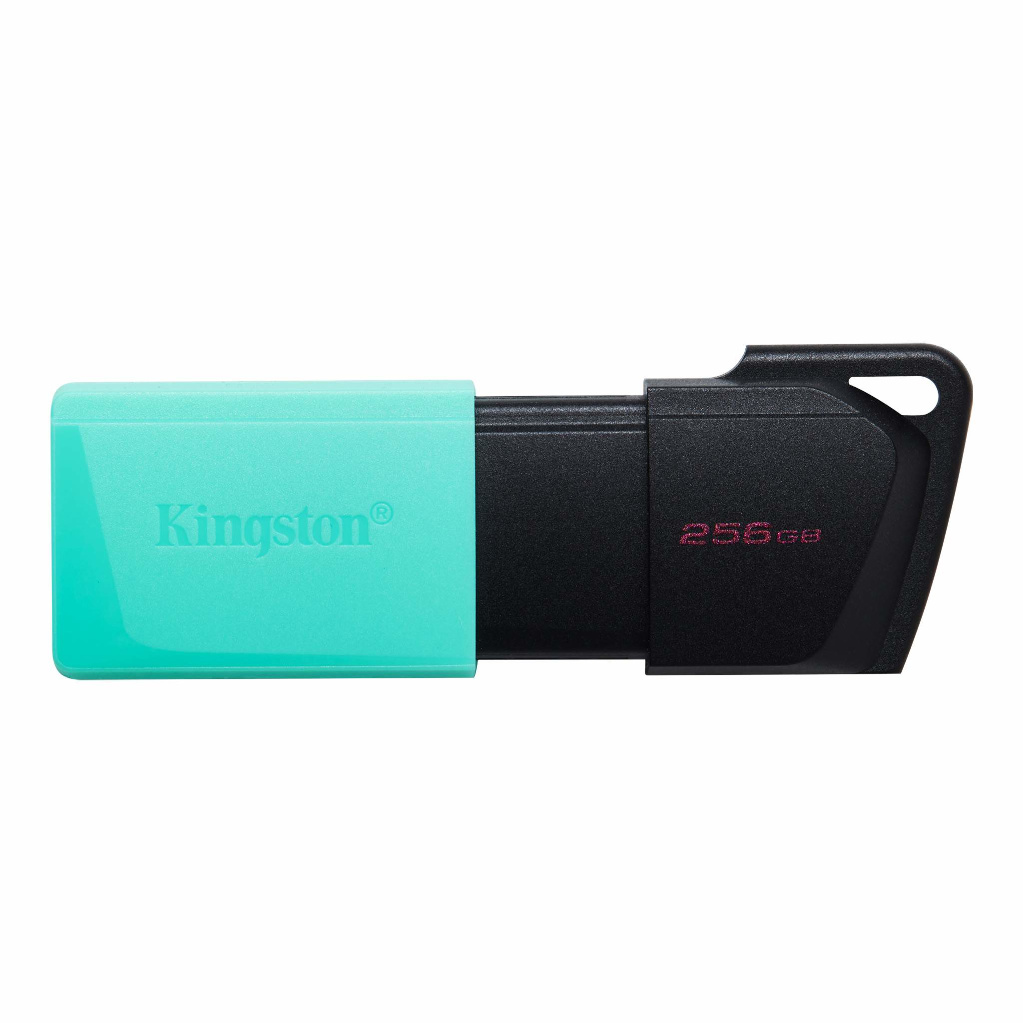 Memoria USB Kingston Technology DATATRAVELER EXODIA M DTXM/256GB 256 GB