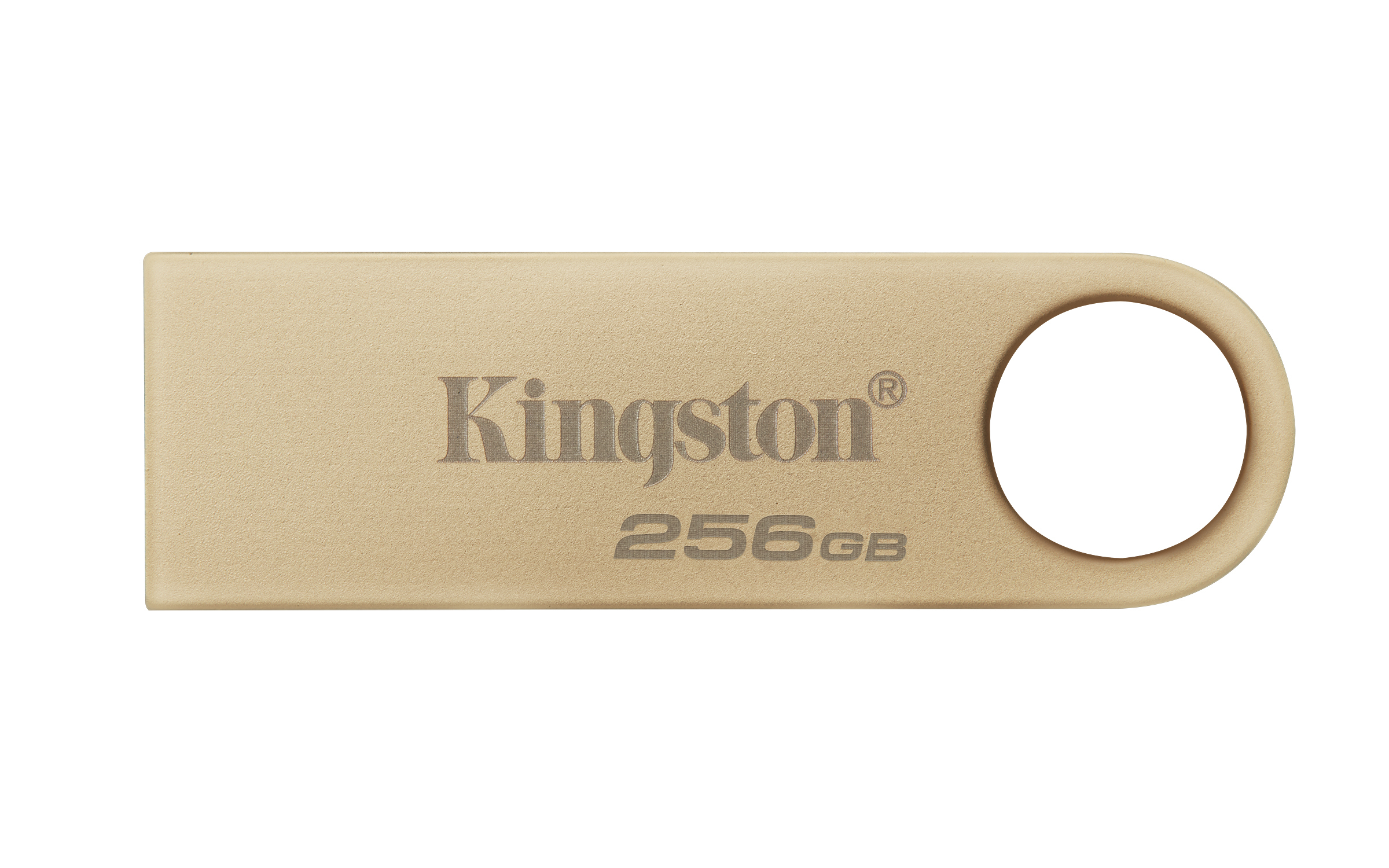 Memoria USB Kingston Technology DATATRAVELER SE9 G3 DTSE9G3/256GB 256 GB