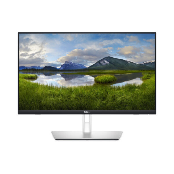 Monitor DELL P2424HT 210-BHSF Plata