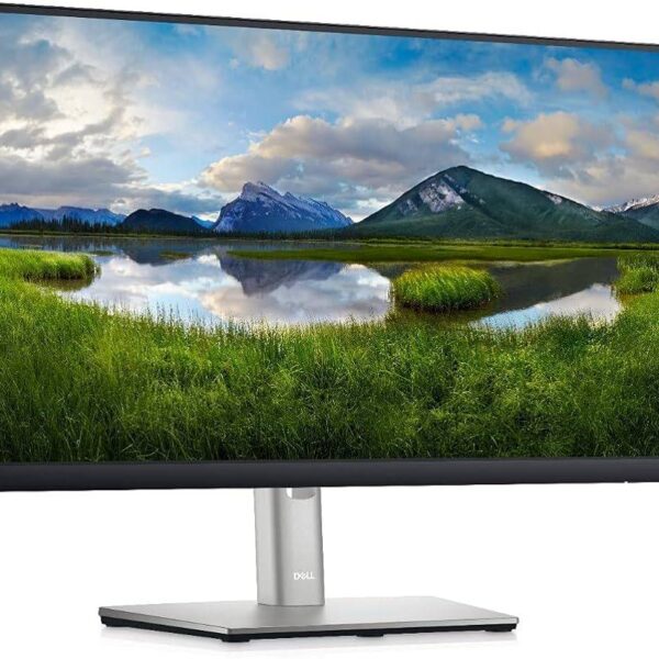 Monitor DELL 210-BLXJ P2225H Negro