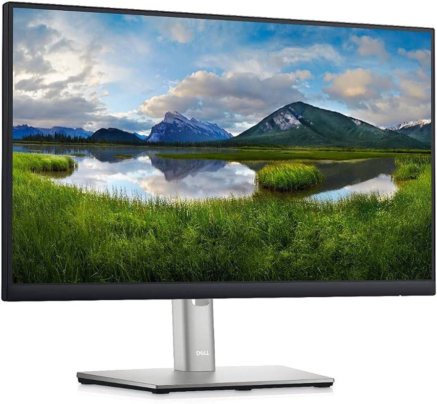 Monitor DELL 210-BLXJ P2225H Negro