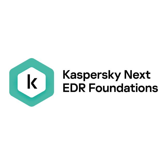 KASPERSKY KL4065ZATD8 250-499 licencias