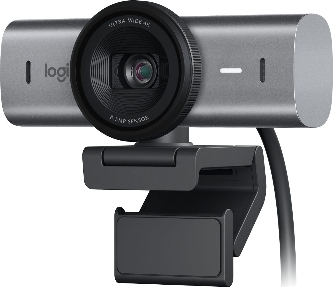 Webcams LOGITECH 960-001548 Gris